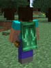 MineconCape2