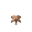 Brown Mushroom