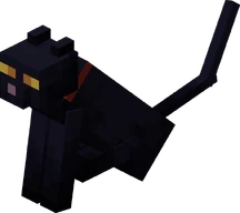 Gato Negro con collar rojo sentándose