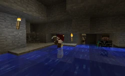 Algunas personas picando en un servidor.