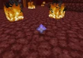 La estrella del Nether que deja el Wither.