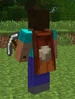 MineconCape4