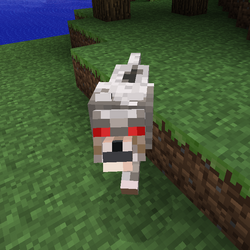 Lobo - Minecraft Wiki