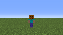 Citrouille Le Minecraft Wiki Officiel