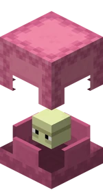 Shulker rose