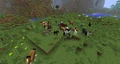 Un troupeau de chevaux différents, en version 13w16a.