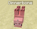 Un cochon qui a été nommé « Dinnerbone ».
