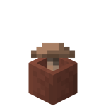 Champignon brun en pot