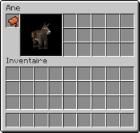 Interface âne