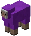 Mouton violet