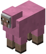 minecraft mouton rose