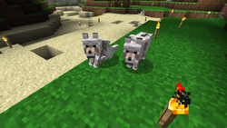 Loup Le Minecraft Wiki