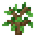 Pousse de chêne.png