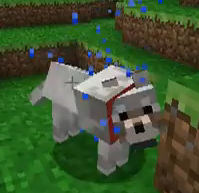 Loup Le Minecraft Wiki