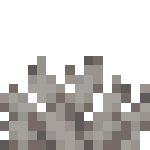 Gorgone de corail bulles mort