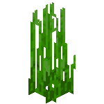 Hautes herbes aquatiques