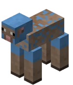 Mouton bleu clair tondu