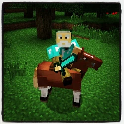 La première capture d'écran postée par Jeb qui montre le cheval en train d'être monté[3].