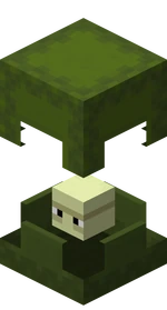 Shulker verte