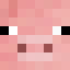 FaceCochon.png