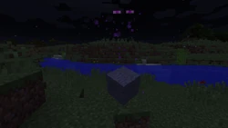 Un enderman sous l'effet d'invisibilité.