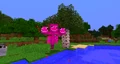 Le retour du Wither rose.