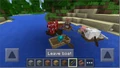 Pareil en version Bedrock
