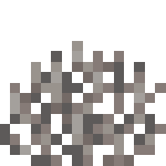 Gorgone de corail de feu mort