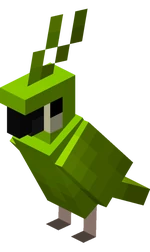 Perroquet vert clair