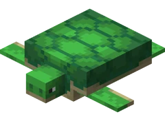 quoi donner a manger a une tortue de terre