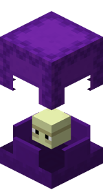 Shulker violet