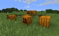 Un petit groupe de citrouilles sculptées (avant la 1.13).