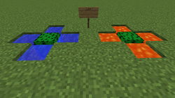 Cactus dans lave.png