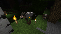 Loup Le Minecraft Wiki
