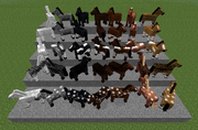 Types de Chevaux