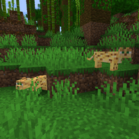 Ocelot Le Minecraft Wiki Officiel