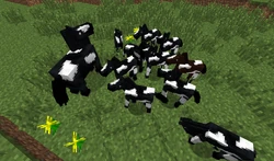 Voici le résultat quand on maintient le clic droit avec un œuf de créature tout en chevauchant un cheval.