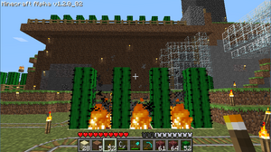 Piège de netherrack et cactus.png