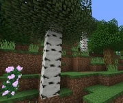 Modifications Textures 1