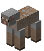 Mouton gris clair tondu