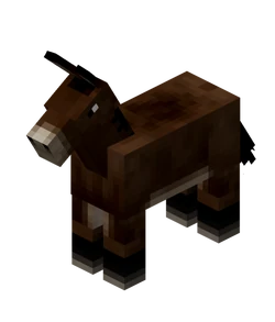 Mule