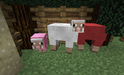 minecraft mouton rose