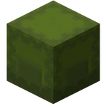 Boîte de Shulker verte