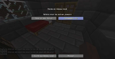 Ouvrir au LAN activer les commandes