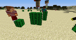 Duocactus.png