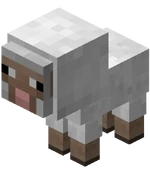 minecraft mouton rose