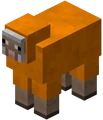 Mouton orange