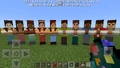 Skins de PNJ.