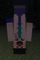 Son skin Minecraft.