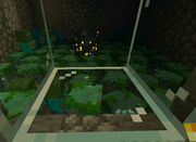 Drownedfarm spawner